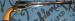Remington 1861 BUFALLO