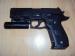 SIG SAUER p226