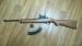 Ruger 10/22