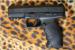WALTHER PPX 9mm Luger