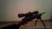 Remington 700 tactical .223