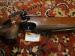 karabin sportowy Anschutz Mod 54