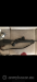 Predam hlaven blaser r8 308 win