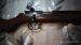 Karabinek schultz larsen 22 lr