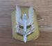 BRITISH ARMY SPECIAL FORCES SAS WHO DARES WINS PIN
