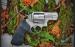 Ruger 44.magnum