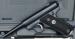 Ruger 22