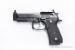 Beretta LTT