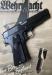 VIS P35 (zgodny)