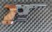 Walther GSP 22lr expert 