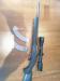 Ruger 10/22 22LR