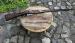 Mosin wz. 1891, Chatellerault 1894, 7,62x54 mm R, 
