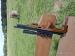 Edgun Matador PCP