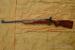 TOZ 17 22 LR