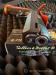 CZ TS2 ORANGE 9x19 STAN PERFEKCYJNY Z KOLIMATOREM!