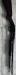 Mossberg 500