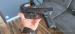 Stoeger str9 or plus gratis