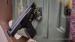 Walther P5 9x19mm