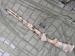 Strzelba 12/76 stoeger p3000 