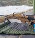 SAKO TRG M10 Coyote