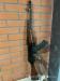AKM