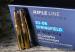 PPU kal. .30-06 Sprg. SP 11,7g/180gr 