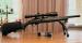 Ruger 10/22 tactical  