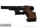 Pistolet Walther GSP, .22 LR [Z2069]