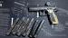CZ Shadow 2 pod IPSC Production Optics