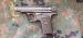 Sauer 1913