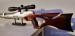 Steyr LG110 Field Target FT 